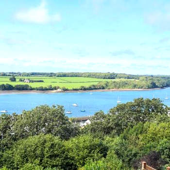 Gwylan Uchaf