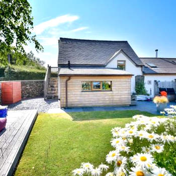 Cysgu Llwynog