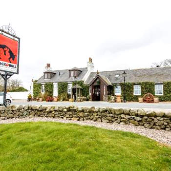 The Cock and Bull