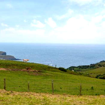 Mains Of Auchmedden Cottage