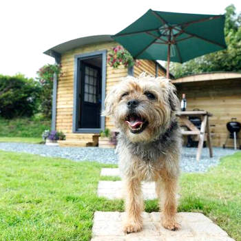 Buttles Shepherd's Hut
