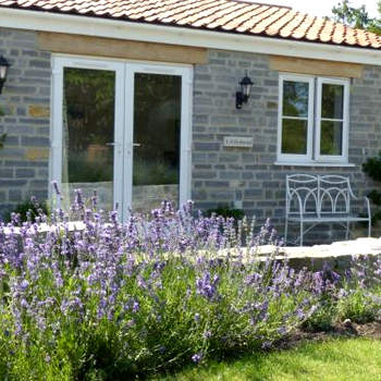 Littlemead - Newly renovated private studio near Glastonbury