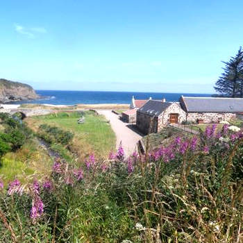 Mill Of Nethermill Holidays