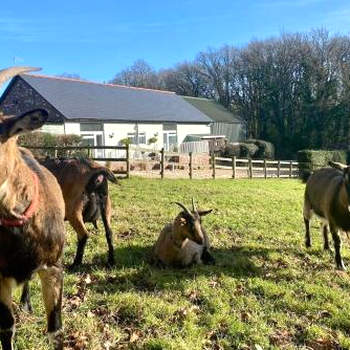 Rushcroft Farm Cottages