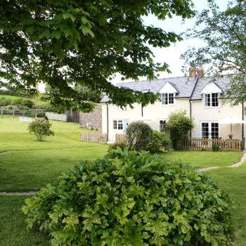 See the llamas at a beautiful Somerset Cottage