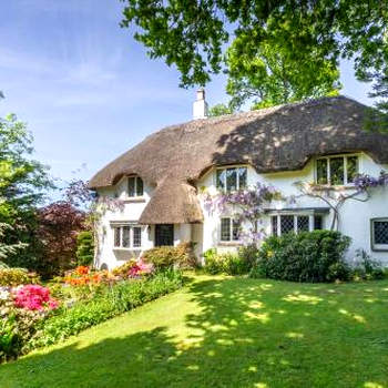 Forest Drove Cottage · Idyllic New Forest 6 Bedroom Thatched Cottage