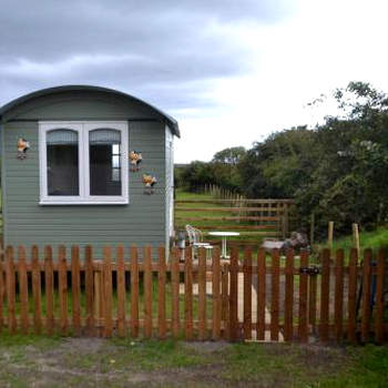 Peaceful Shepherd's Hut next to Horse Field