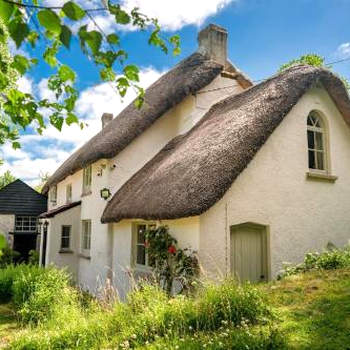 Weeke Brook - Quintessential thatched luxury Devon cottage
