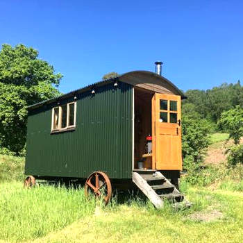 Cosy woodland off Grid Shepherds Hut - Rowan