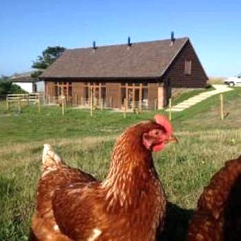 Surf Shack - Impeccable 1-Bed Cottage in Shorwell