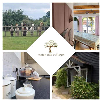 Beautiful barn with private log fired hot tub