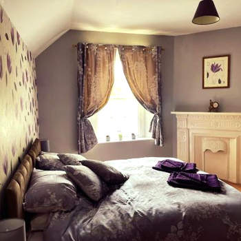 the Dartmoor bnb