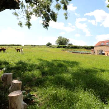 Shires Rest