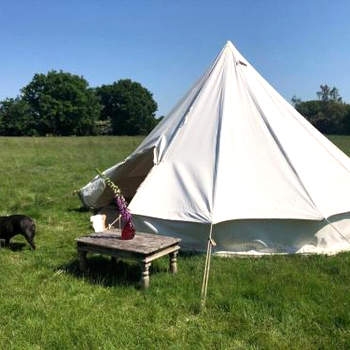 Wild Orchid bell tent in The Broads National Park