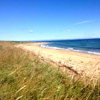 COASTAL COTTAGE ideal for golf, walking and cycling