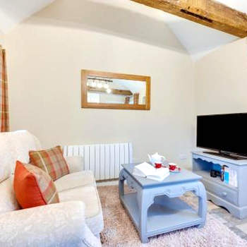 Ardley Cottage Hedgehog