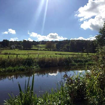 Serenity- Uk38551