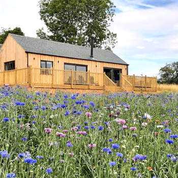 Bournes Homestead