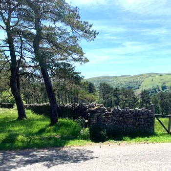 Cosy, dog friendly house on the fringe of the Brecon Beacons