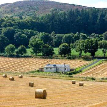 Railway Cottage, Newtyle