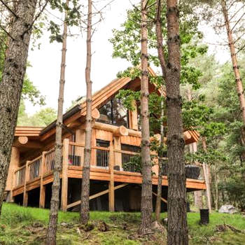Pine Marten Lodge