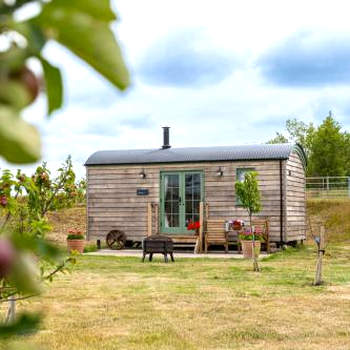 Coldharbour Luxury Shepherds Hut