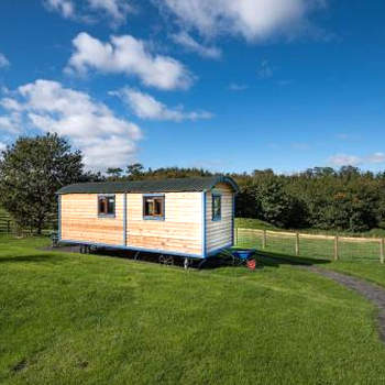 Cow Parsley Shepherd's Hut