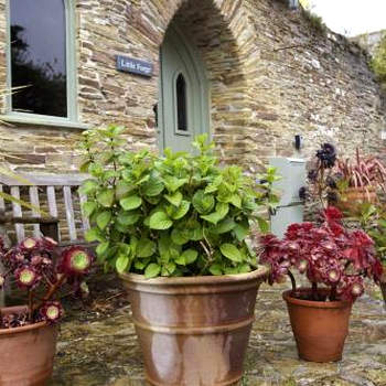 Little Forge