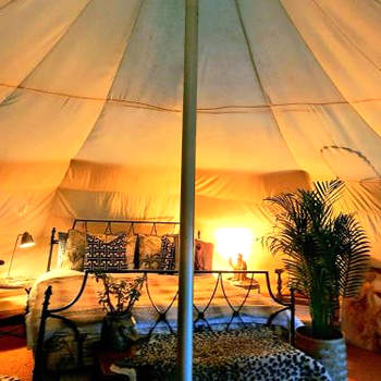 Wild Retreat
