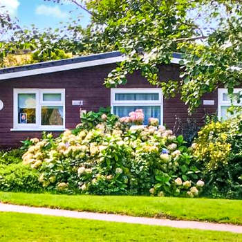 Hollyhocks Bungalow - Uk39617