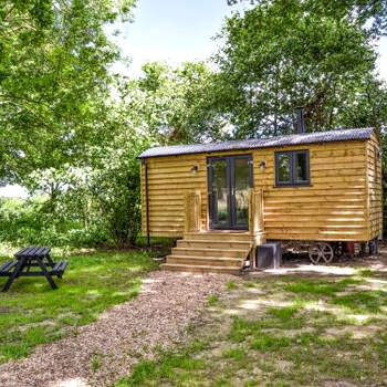 Oak - Ukc4846