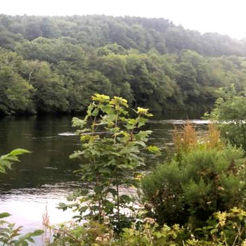 River Ness View
