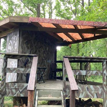 Unique off Grid Tree-House Stay in oak woodland