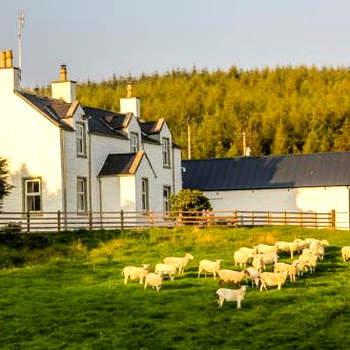 Diamonds Laggan
