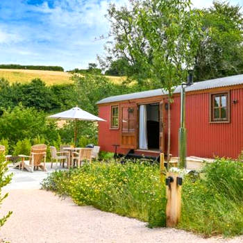 Maple Shepherds Hut