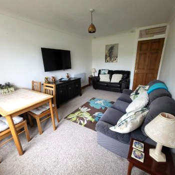A great place for you and your dog to stay