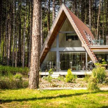 Liz's Lodge