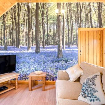 Bluebell Cottage - Uk36669