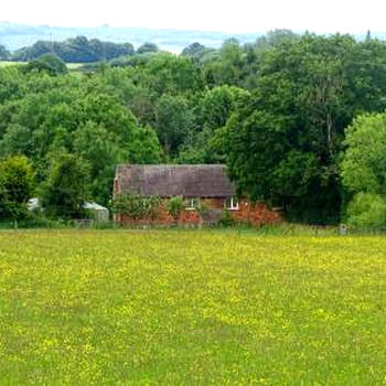 Meadowfields