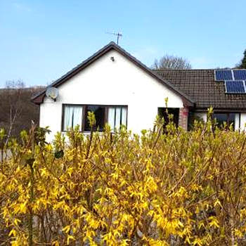 Beech House
