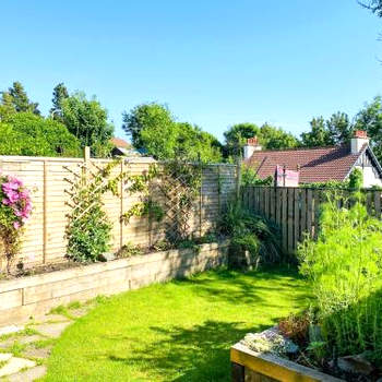 The Wee Cottage - Uk42919