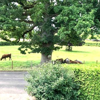 Cosy Farmhouse Escape in Monmouthshire