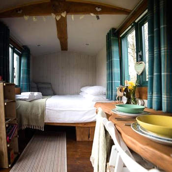Shire the Shepherd's Hut at Pentref Luxury Camping
