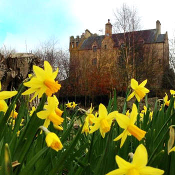 The Manor at Plane Castle