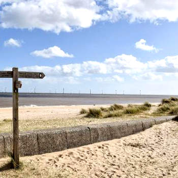 Seaside Dreams