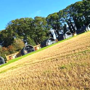 Eastfield Glamping Farm